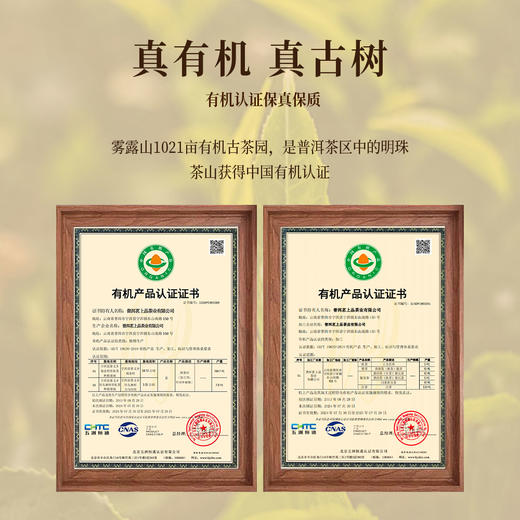 好物甄选 逍遥古树茶 浪跡 2023年古树纯料红茶 百年古树纯料 200克/盒 商品图3