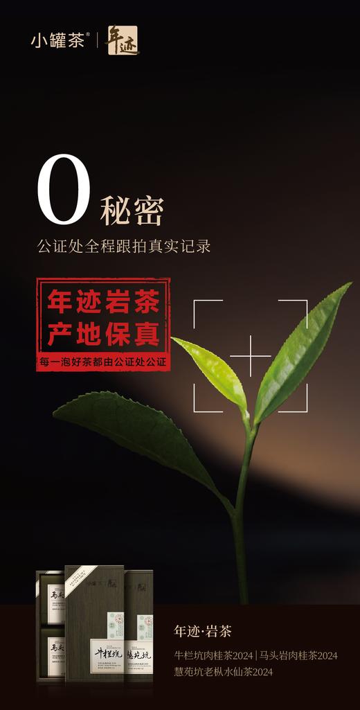小罐茶旗下•年迹马头岩肉桂茶2024年份六泡装：每泡8g一共48g茶叶 商品图4