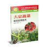 大宗蔬菜栽培实用技术（“金土地”新农村书系•蔬菜编） 商品缩略图0