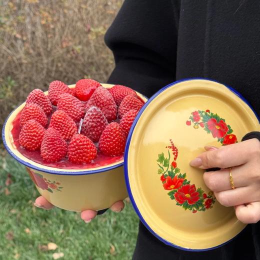 草莓搪瓷盆动物奶蛋糕 商品图0