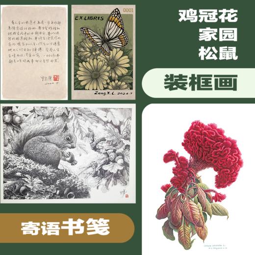 《自然而然  曾孝濂自传》 藏书票版 首批定制藏书票仅500份 商品图9