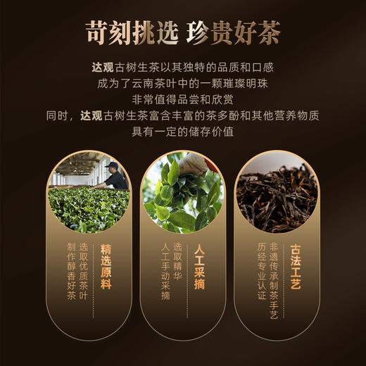 好物甄选 逍遥古树茶 达观 2023年古树纯料生茶 百年古树 普洱茶 饼茶 200克/饼 商品图1