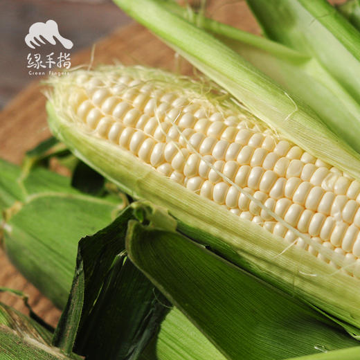 生态水果玉米 | 合作生产*Eco-Fruit corn  | Coproduction 商品图1
