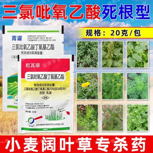 70%三氯吡氧乙酸除灌木藤蔓水花生阔叶杂草专用小麦甘蔗田除草剂 商品图1