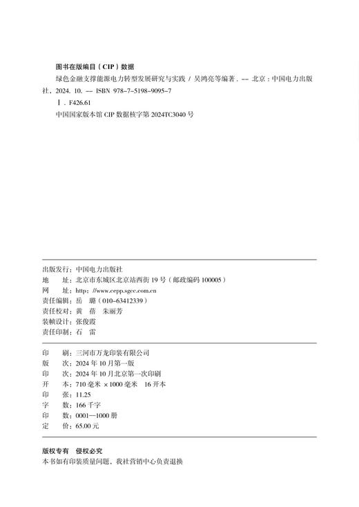 绿色金融支撑能源电力转型发展研究与实践 商品图3