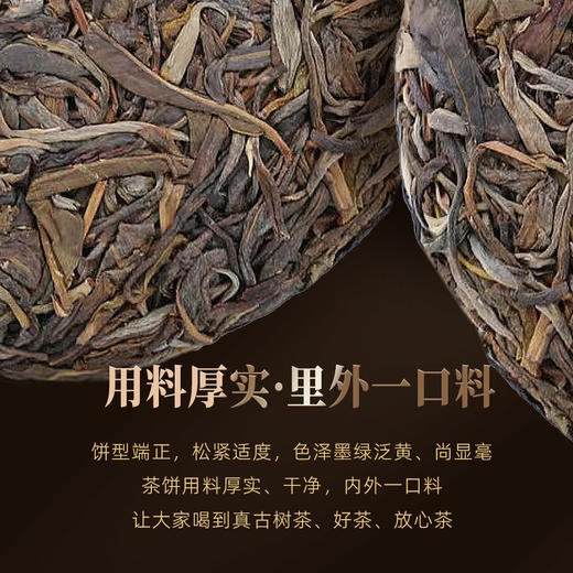 好物甄选 逍遥古树茶 达观 2023年古树纯料生茶 百年古树 普洱茶 饼茶 200克/饼 商品图2