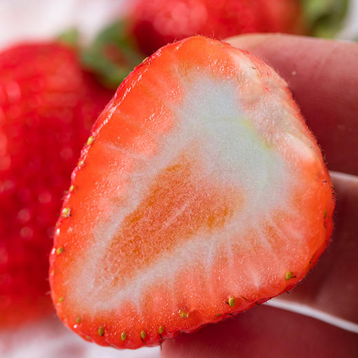 【辽宁• 丹东九九鲜草莓】 草莓中的红颜美人 鲜红如火 果肉细嫩 汁水四溢 香味浓郁 过节送礼佳品 商品图1