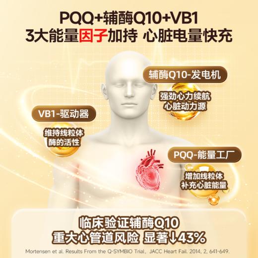 【S】挪威进口Noromega辅酶PQQ60粒 商品图2