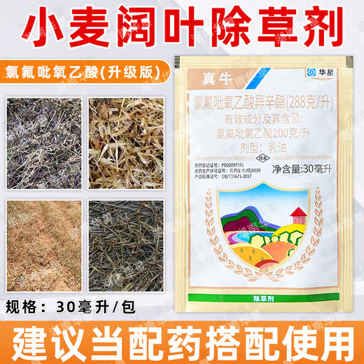 氯氟吡氧乙酸小麦阔叶杂草猪秧秧水花生空心莲子草专用除草剂正品 商品图1