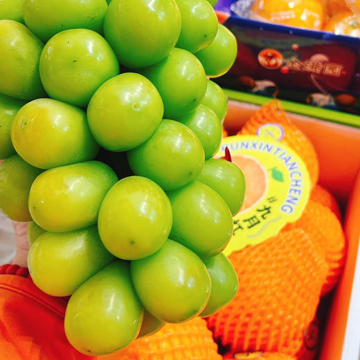 晴王香印青提  |水果 商品图1