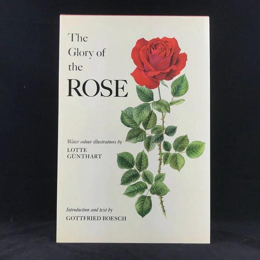 47*31cm！1965年 玫瑰花的荣耀 数十幅水彩画插图 精装带书匣 商品图0