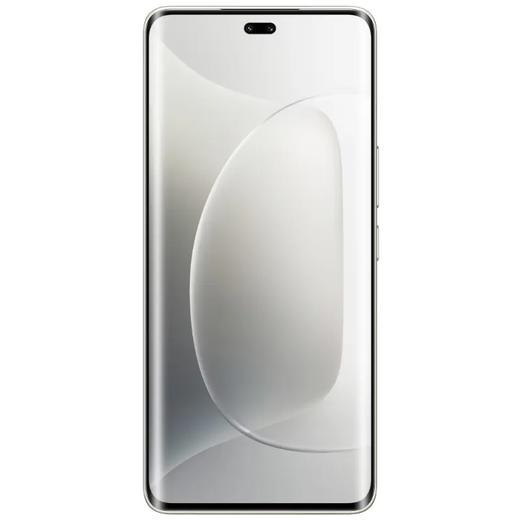 荣耀300 Pro 全网通5G版 墨岩黑 12GB+512GB 商品图0