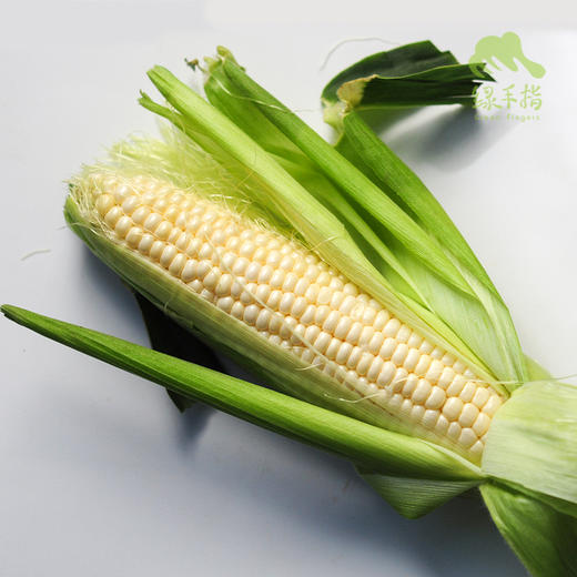 生态水果玉米 | 合作生产*Eco-Fruit corn  | Coproduction 商品图2
