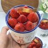 【网红爆款】复古搪瓷缸草莓蛋糕【20个店可用】 商品缩略图1