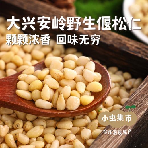 大兴安岭野生偃松仁 125g/袋（松子仁） | 合作农友生产，产自黑龙江大兴安岭，生产者：柳树 &【公平贸易农人定价】 商品图0