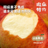 妙耕有机瑕疵苹果特卖 4.5-5斤 | 合作农友生产，产自陕西千阳，生产者：张家祯 *【公平贸易农人定价】无法售后理赔，售出后不退换货，对瑕疵在意的勿拍 商品缩略图11