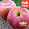 妙耕有机瑕疵苹果特卖 4.5-5斤 | 合作农友生产，产自陕西千阳，生产者：张家祯 *【公平贸易农人定价】无法售后理赔，售出后不退换货，对瑕疵在意的勿拍 商品缩略图5