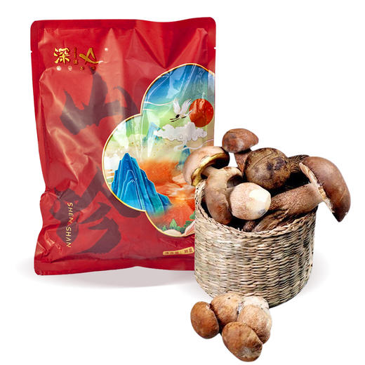 【通江扶贫】通江县深山良品牛肝菌250g 商品图0