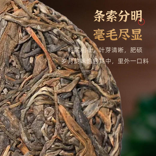 好物甄选 逍遥古树茶 陈情 2019年古树纯料生茶 八百年古树纯料 普洱茶 饼茶 100克/200克/饼 商品图2