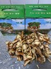 小居 苏州水八仙 自然农法 荸荠 莲藕 鸡斗米 茨菇  莼菜 商品缩略图5