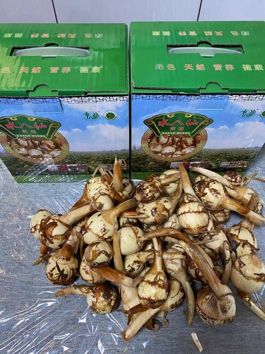 小居 苏州水八仙 自然农法 荸荠 莲藕 鸡斗米 茨菇  莼菜 商品图5