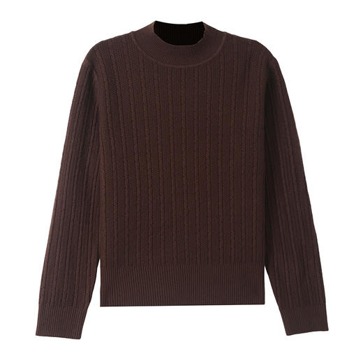 CC-tbrk-58130半高领麻花毛衣女士短款秋冬2024新款内搭针织打底衫纯色百搭上衣 商品图4