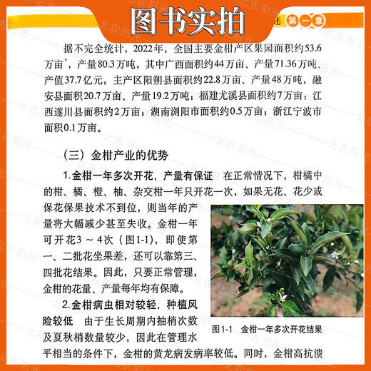图说金柑优质高效栽培技术【官方正版，可开发票，下单时留开票信息和电子邮箱】 商品图4