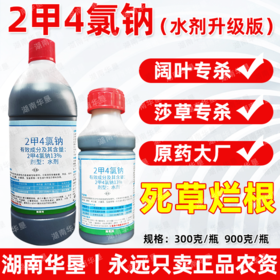锐耙13%二甲四氯钠水剂2甲4氯钠小麦田阔叶杂草除草剂华星正品