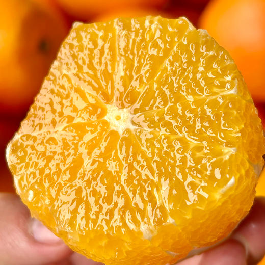 寻乌赣南脐橙 商品图0