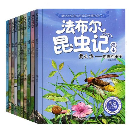 注音版法布尔昆虫记-10册 商品图5