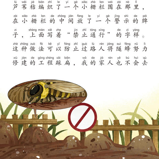 正版给孩子的昆虫记全套6册 小学生版彩绘注音版儿童版绘本青少年孩子读得懂的昆虫记带拼音一二年级三年级课外阅读书籍百科全书写 商品图6