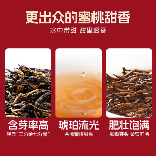 卢正浩金骏眉特级红茶武夷山正宗高端伴手礼茶叶礼盒装年货送长辈 商品图2