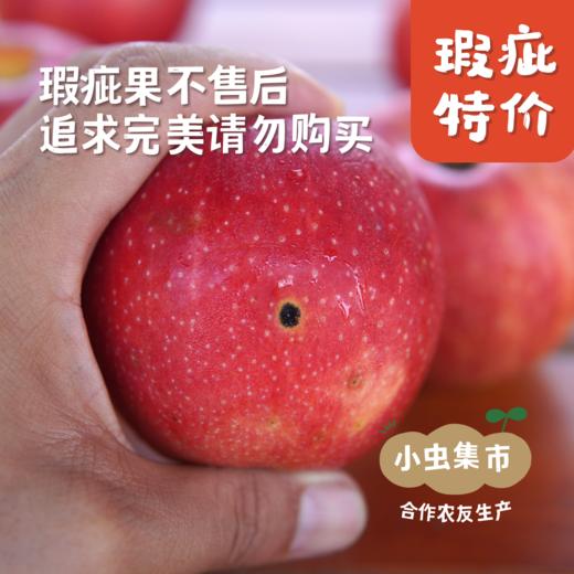妙耕有机瑕疵苹果特卖 4.5-5斤 | 合作农友生产，产自陕西千阳，生产者：张家祯 *【公平贸易农人定价】无法售后理赔，售出后不退换货，对瑕疵在意的勿拍 商品图7