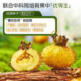 ⁴【三王圣果贵州有机刺梨汁】纯刺梨原浆&益生元刺梨汁 VC+VP+SOD 50ML/袋 YC04-CR-XGSC