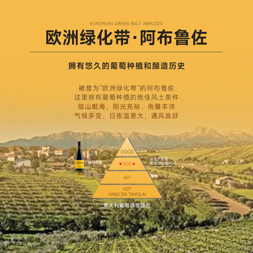 【芬迪100周年·限量发售】芬迪赫拉酒庄传世干红葡萄酒 意大利DOC等级 阿布鲁佐 15.5%vol 商品图5