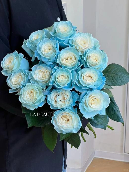 厄瓜多尔进口染色玫瑰sky blue冰雪公主10支 商品图1