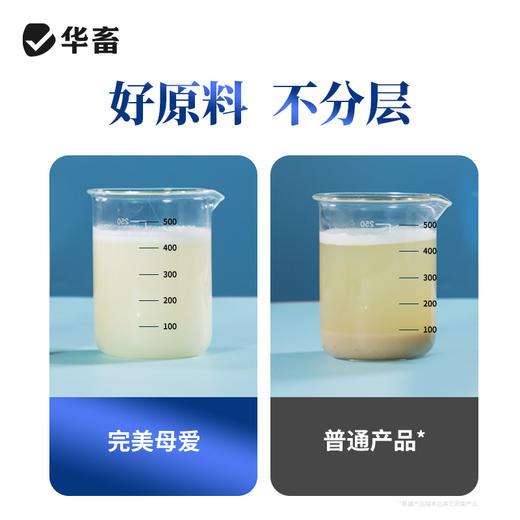 华畜兽用 完美母爱500g 30%乳蛋白奶粉 高利用度更省钱 商品图1
