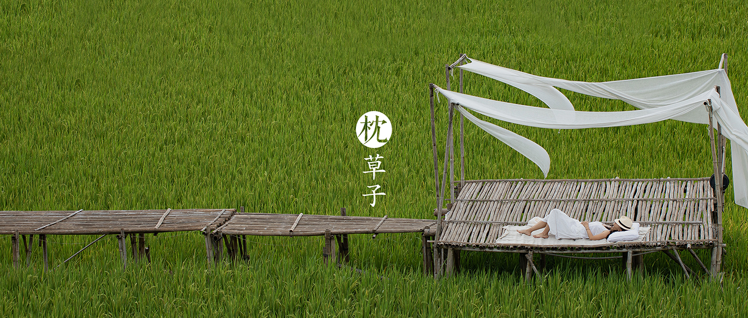 睡美人养成活动