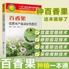百香果优质丰产栽培彩色图说 商品缩略图0