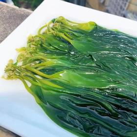 猫太推荐---宁德霞浦海带苗！（3斤）