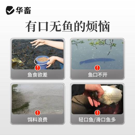 华畜食品级DMPT水产饲料添加剂诱食剂钓鱼饵料诱鱼剂钓鱼小药 商品图1