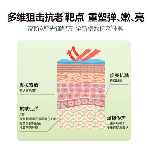 【品牌方发货】HBN·多重视黄醇紧塑赋活晚霜50g 商品图2