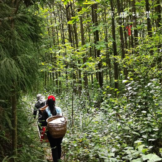 中峰寺手工川红茶（成都仓库-顺丰快递 ） ｜ 红茶100g/袋，桂花红茶100g/袋，来自四川都江堰，生产者：真如师父，净师父【合作生产，公平贸易】 商品图12