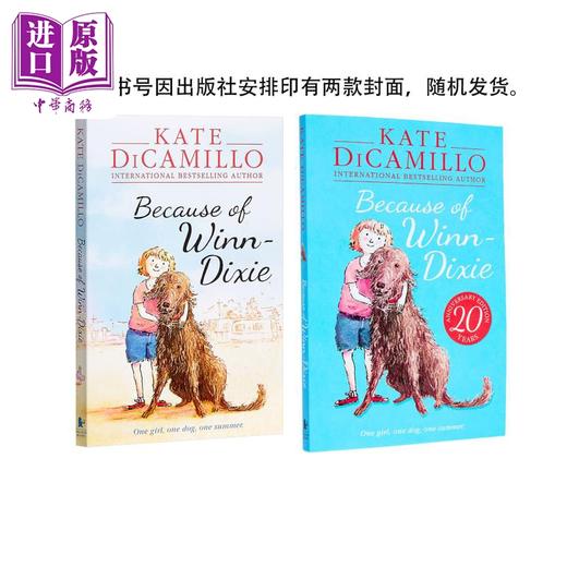 【中商原版】纽伯瑞获奖文学4册 英文原版 Holes洞 Number the stars数星星 A Wrinkle In Time时间的皱纹 DiCamillo傻狗温迪克 初中生推荐阅读 商品图1