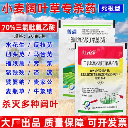 70%三氯吡氧乙酸除灌木藤蔓水花生阔叶杂草专用小麦甘蔗田除草剂 商品图0