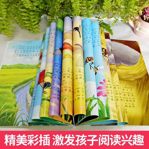 注音版法布尔昆虫记-10册 商品图3