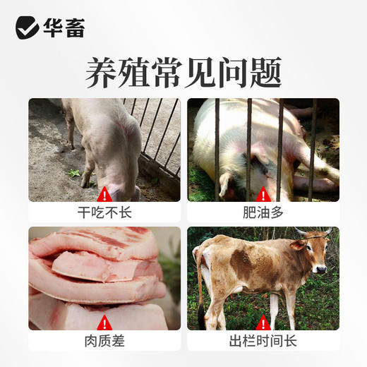 【积分兑换】华畜胍基乙酸牛羊猪增肥增重催肥拉大骨架提高瘦肉率饲料添加剂 商品图1