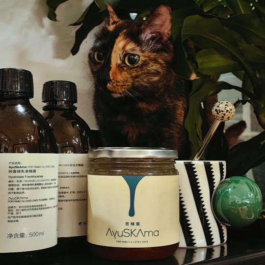 AyuSkAma 苦槠蜜/鸭脚木蜜 清心去热 蜂蜜 500ml 商品图1