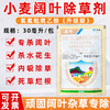 氯氟吡氧乙酸小麦阔叶杂草猪秧秧水花生空心莲子草专用除草剂正品 商品缩略图0