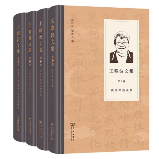王晓波文集 商品图0